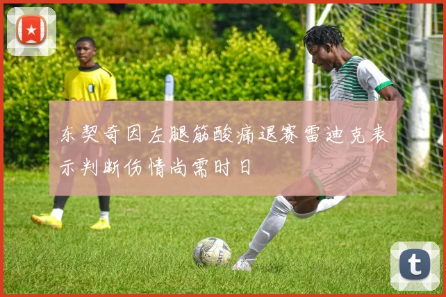东契奇因左腿筋酸痛退赛雷迪克表示判断伤情尚需时日