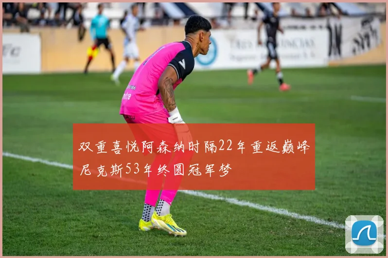 双重喜悦阿森纳时隔22年重返巅峰尼克斯53年终圆冠军梦